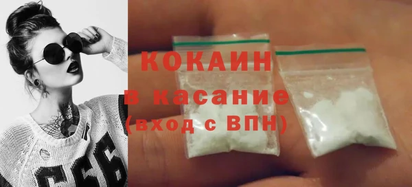 шишки Бородино