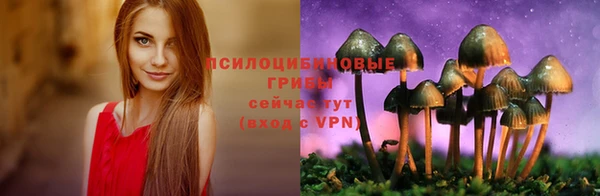 шишки Бородино
