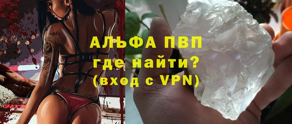 шишки Бородино