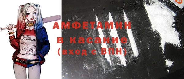 шишки Бородино