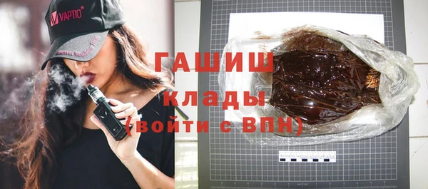 шишки Бородино