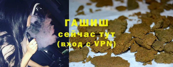 шишки Бородино