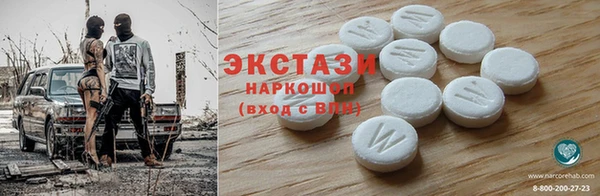 шишки Бородино