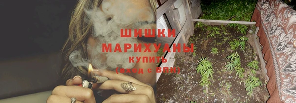 шишки Бородино